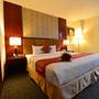 Горящие туры в отель Nesta Hanoi Hotel - 5