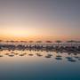 Горящие туры в отель Themis Beach - 4