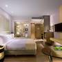 Горящие туры в отель Holiday Inn New Delhi International Airport - 3