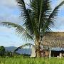 Горящие туры в отель Sanak Retreat Bali, Munduk /Buleleng - 5