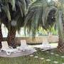 Горящие туры в отель Dalyan Palmiye Resort Hotel - 4