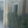 Горящие туры в отель Residence Masha - 2