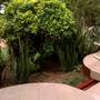 Горящие туры в отель The Tandem Guesthouse, Hikkaduwa - 3