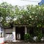 Горящие туры в отель The Tandem Guesthouse, Hikkaduwa - 2