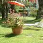 Горящие туры в отель Marina Hotel - 5