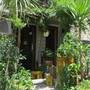 Горящие туры в отель Villa Luna - 4