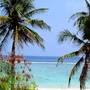 Горящие туры в отель Velaa Beach Hotel, Hulhumale - 6