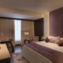 Горящие туры в отель Royal Orchid - 2