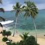 Горящие туры в отель Cool Beach Hotel - 2