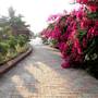 Горящие туры в отель The Fern Beira Mar Resort - 4