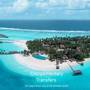 Горящие туры в отель Niva Velassaru Maldives - 1