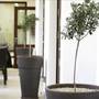 Горящие туры в отель Royiatiko Hotel - 5
