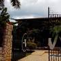 Горящие туры в отель The Westender Inn - 1