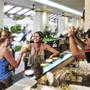 Горящие туры в отель Ibis Phuket Kata - 6
