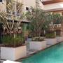 Горящие туры в отель The Wave Patong Boutique Hotel - 1