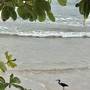 Горящие туры в отель Beachfront Phuket - 2