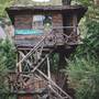 Горящие туры в отель Kadir's Top Tree Houses - 5