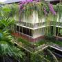 Горящие туры в отель Komaneka at Rasa Sayang - 2