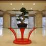 Горящие туры в отель Sun Palace - 2