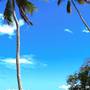 Горящие туры в отель Menai Bay Beach Bungalows - 5