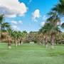 Горящие туры в отель Acacia Resort - 1