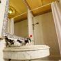 Горящие туры в отель Paradise Inn Le Metropole - 5