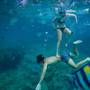 Горящие туры в отель Phi Phi Hotel - 5