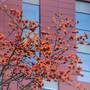 Горящие туры в отель Baiyun International Convention Center - 1