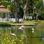 Горящие туры в отель Catalonia Bavaro Beach Golf And Casino Resort - 2