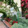 Горящие туры в отель Olympia Garden Hotel - 6
