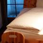 Горящие туры в отель Alpenrose Hotel - 5