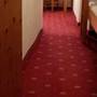Горящие туры в отель Alpenrose Hotel - 3