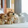 Горящие туры в отель MGM Grand Sanya - 6