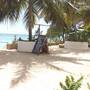 Горящие туры в отель Nungwi Paradise Beach Bungalows - 5