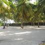 Горящие туры в отель Nazaki Residences Beach Hotel - 5