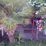 Горящие туры в отель Villa Gigovich Apt - 2