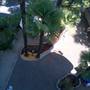 Горящие туры в отель Villa Eugenia - 2