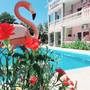 Горящие туры в отель Flamingo Apartments - 6