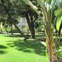 Горящие туры в отель Side Village Hotel - 5