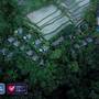 Горящие туры в отель Natya Resort Ubud - 1