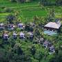 Горящие туры в отель Natya Resort Ubud - 4