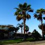 Горящие туры в отель La playa Beach Resort Taba - 4