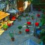Горящие туры в отель Tiflis Hotel - 4