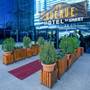 Горящие туры в отель Avenue Hotel Baku - 5