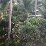 Горящие туры в отель Ravenala Muine Resort - 6