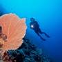 Горящие туры в отель Innahura Maldives Resort - 6