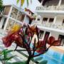 Горящие туры в отель Villa De White Sambur - 6