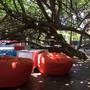 Горящие туры в отель Vibration Hotel - 5