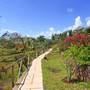 Горящие туры в отель Hotel Club Dongwe - 4