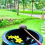 Горящие туры в отель Sonata Resort & Spa - 6